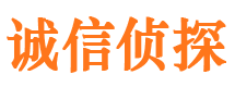 上蔡市私人侦探